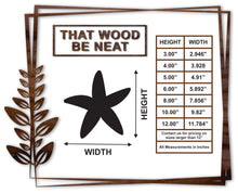 Load image into Gallery viewer, Starfish #2/3"-12"