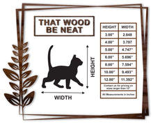 Load image into Gallery viewer, Cat #2/3"-12"